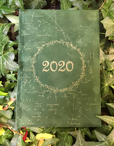 Agenda magica 2020 (coperta verde) | la sanziene... cu leac
