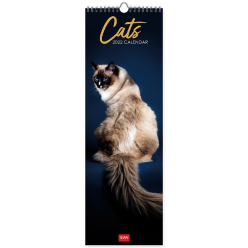 Calendar 2022 - cats, 16x49 cm | legami