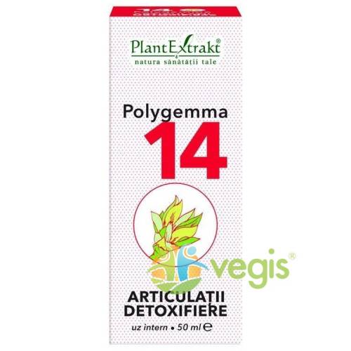 Plantextrakt Polygemma nr. 14 50ml (articulatii-detoxifiere)