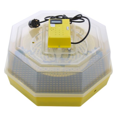 Incubator electric pentru oua cu termometru, cleo, model 5t