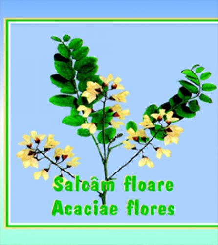Ceai salcam flori 50g - cyani